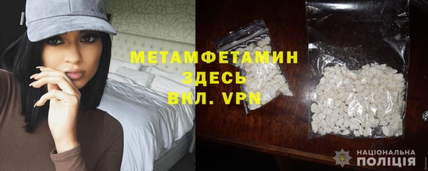 прущие грибы Новокубанск