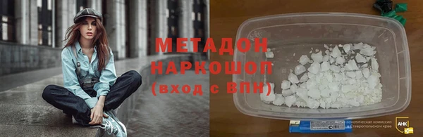 прущие грибы Новокубанск