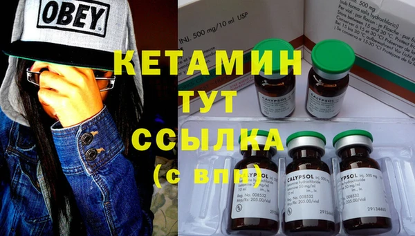 прущие грибы Новокубанск