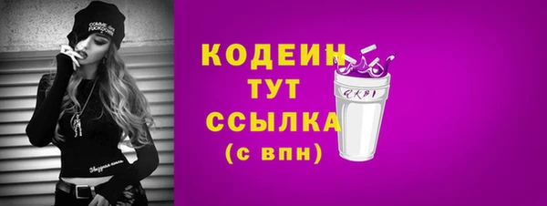 мдпв Новозыбков