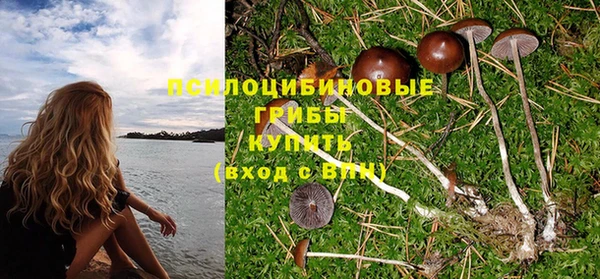 мдпв Новозыбков