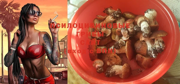 скорость Новодвинск