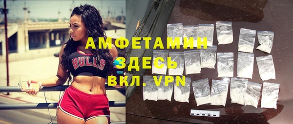 мдпв Новозыбков