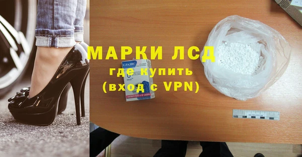 прущие грибы Новокубанск