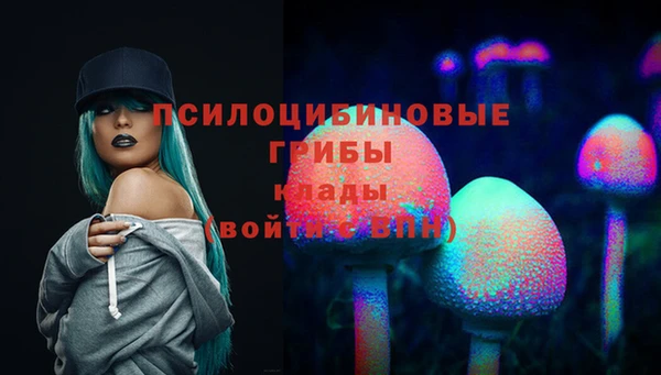 прущие грибы Новокубанск
