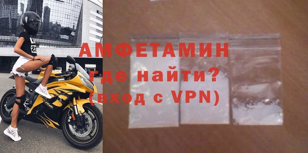 прущие грибы Новокубанск