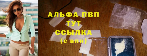 прущие грибы Новокубанск
