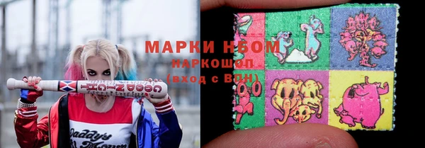 мдпв Новозыбков