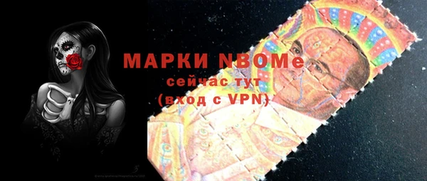 мдпв Новозыбков