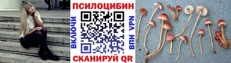 Галлюциногенные грибы мицелий  Купить закладки  Ржев 